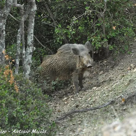 Sierra De Andujar 2*